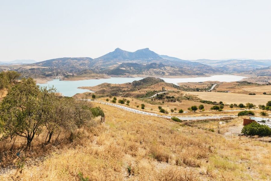 From Seville: Pueblos Blancos and Ronda Full-Day Trip - From Seville to the White Villages: Why This Route Feels So Andalusian