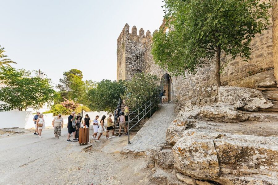 From Seville: Pueblos Blancos and Ronda Full-Day Trip - Aguzaderas Castle and the Countryside in Between