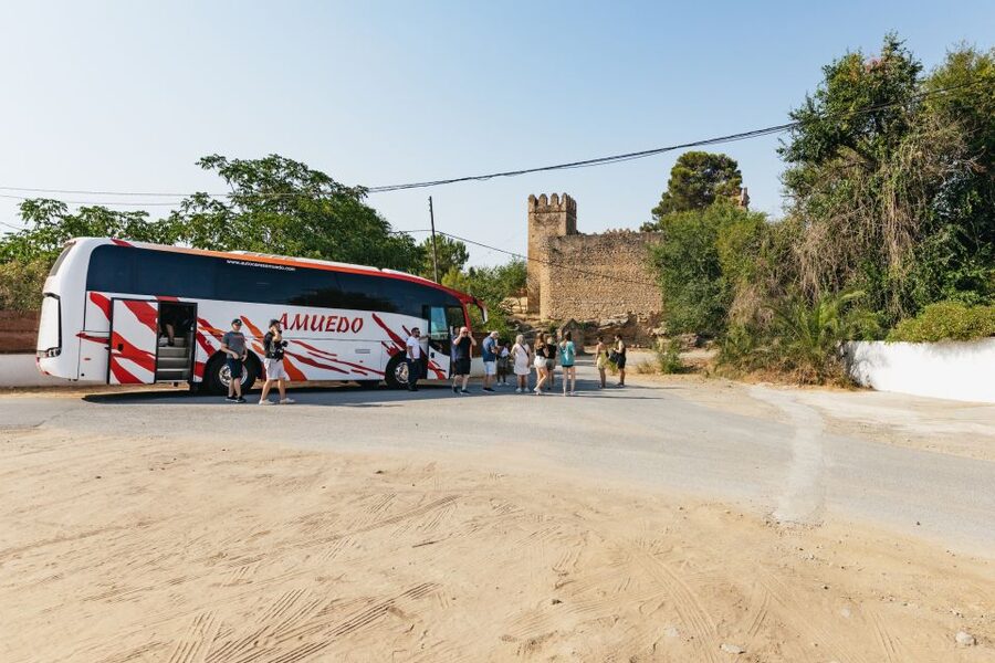 From Seville: Pueblos Blancos and Ronda Full-Day Trip - Molino El Vínculo: The Short Stop That Breaks Up the Day