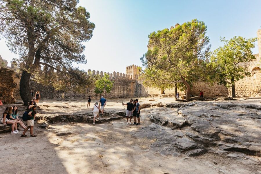 From Seville: Pueblos Blancos and Ronda Full-Day Trip - Olive Oil Press Visit: Tasting How the Region Feeds Itself