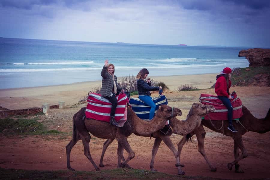 From Seville: Tangier Day Trip with Local Guide and Lunch - Seville to Tarifa: the ride that sets up your whole day