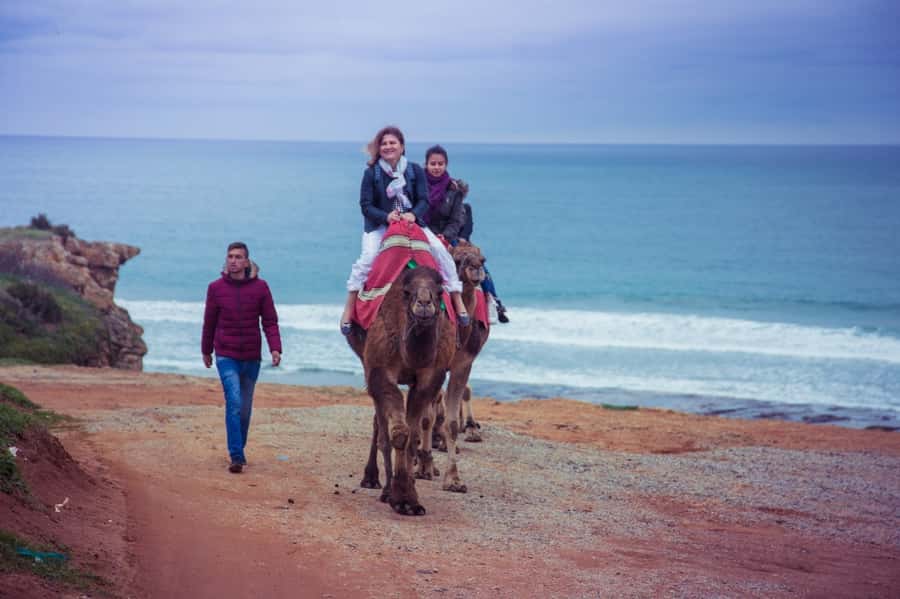 From Seville: Tangier Day Trip with Local Guide and Lunch - Moroccan lunch: included, filling, and timed for real recovery
