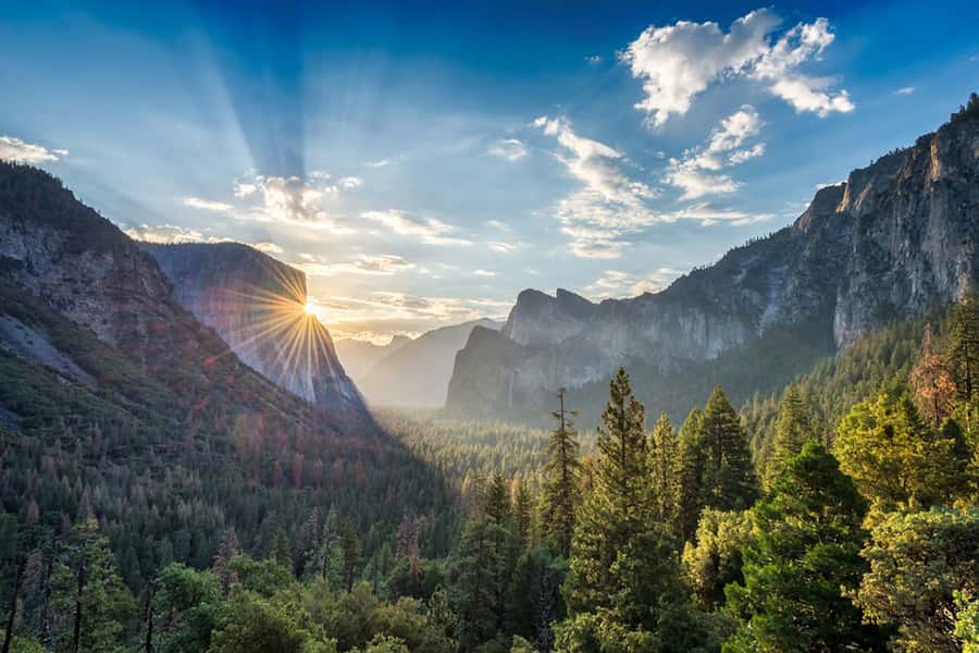 From SF: Yosemite Day Trip with Giant Sequoias Hike & Pickup - Who should book this Yosemite + Sequoias day trip