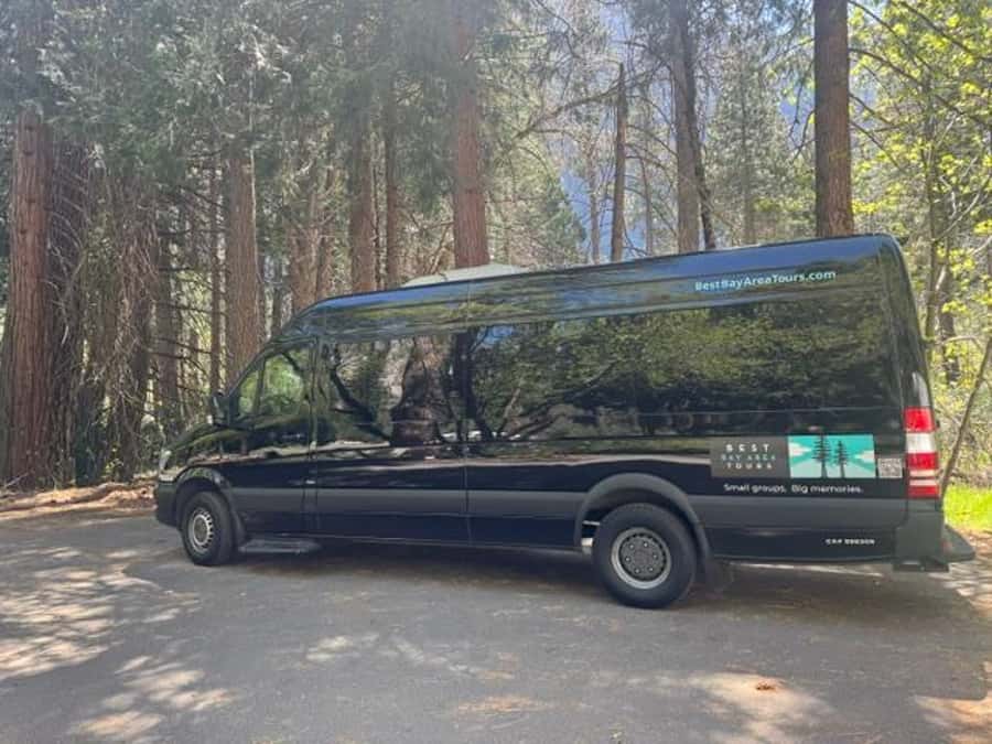 From SF: Yosemite Day Trip with Giant Sequoias Hike & Pickup - The free time block at Yosemite Falls: picnic strategy that saves the day