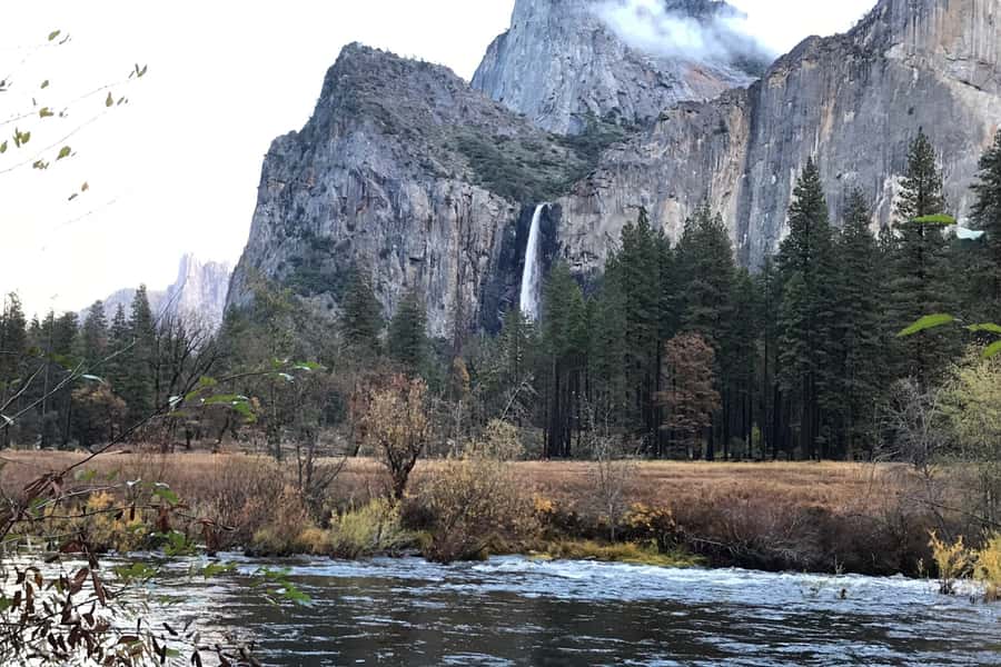 From SF: Yosemite Day Trip with Giant Sequoias Hike & Pickup - Price and value: what $239 buys you (and what it doesn’t)