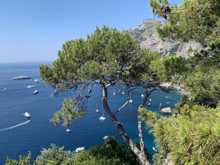 From Sorrento: Day Trip to Capri & Anacapri with Blue Grotto - Key highlights worth planning for