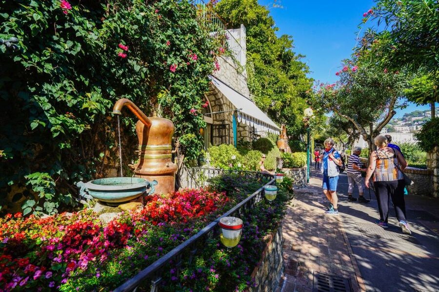 From Sorrento: Day Trip to Capri & Anacapri with Blue Grotto - Anacapri with a guided plan: Villa Munthe and Monte Solaro views