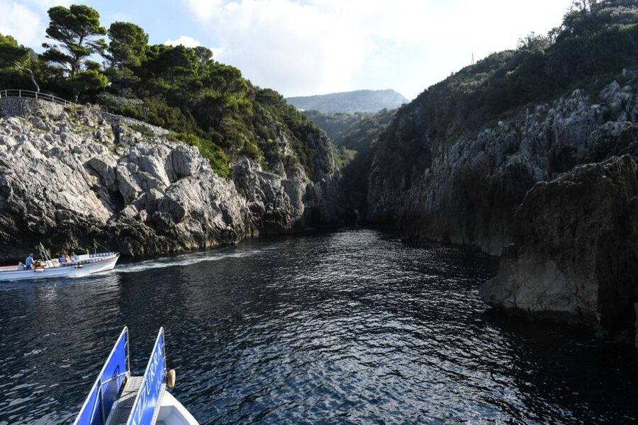 From Sorrento: Day Trip to Capri with Blue Grotto - Casa Malaparte, White/Green grottos, and Punta Carena: what each “means” for your day
