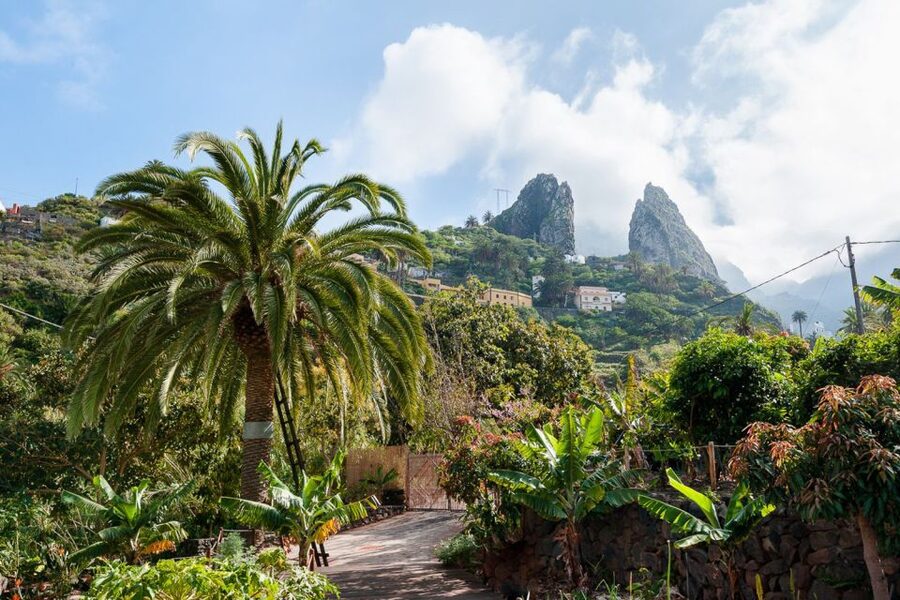 From South Tenerife: La Gomera Island Day Trip with Lunch - Should you book this La Gomera day trip?
