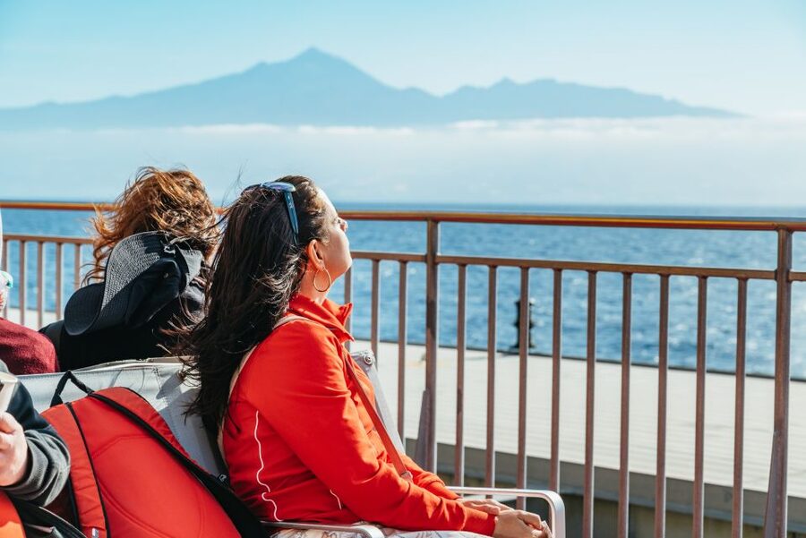 From South Tenerife: La Gomera Island Day Trip with Lunch - Lunch with Silbo Gomero: local tradition you can actually watch