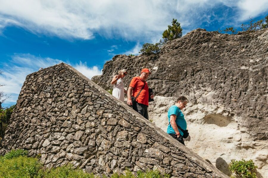 From South Tenerife: La Gomera Island Day Trip with Lunch - The 9-hour schedule: how to plan your energy and expectations