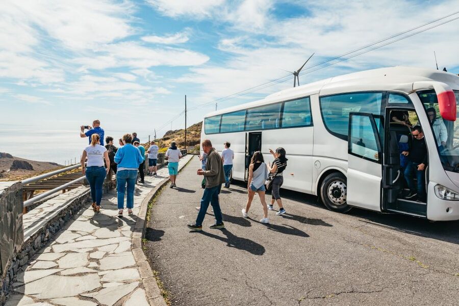 From South Tenerife: La Gomera Island Day Trip with Lunch - Who should book this tour, and who might skip it