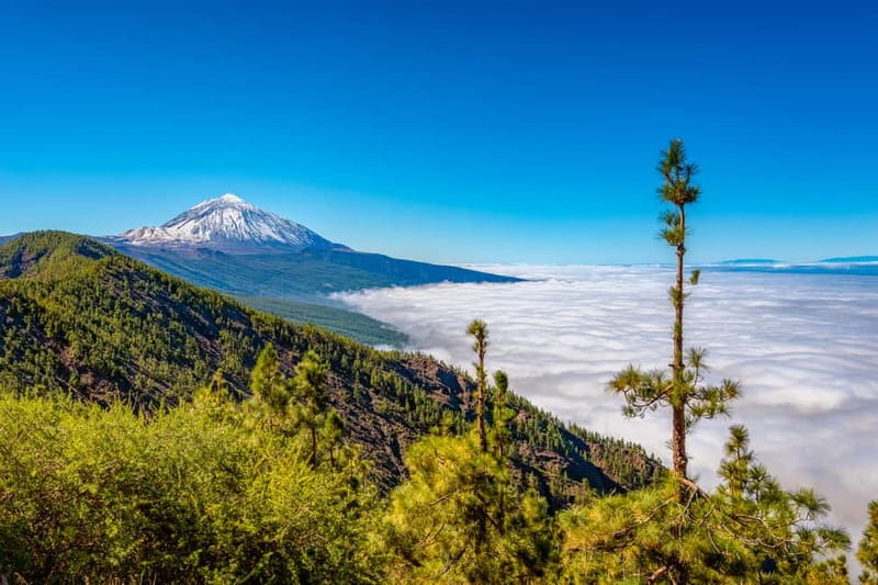 From South Tenerife: Mount Teide Hiking Day Trip & Cable Car - What to Bring (and What You’ll Wish You Brought)