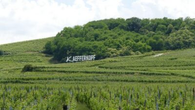 From Strasbourg: Best Of Alsace Historical Day Trip - Haut-Koenigsbourg Castle: the big view payoff (and a self-guided pace)