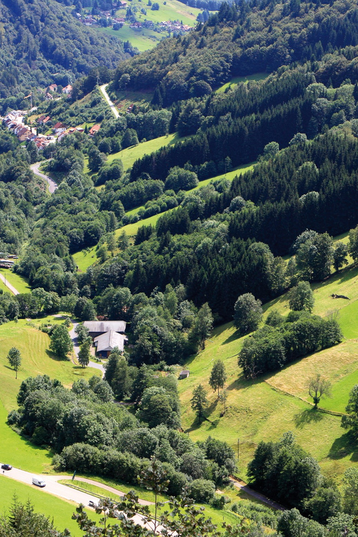 From Strasbourg: Black Forest and Baden Baden Day Trip - Key points to know before you go