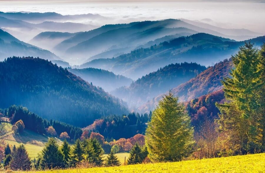 From Strasbourg: Black Forest and Baden Baden Day Trip - Schwarzwaldhochstraße: the road that turns the drive into scenery breaks
