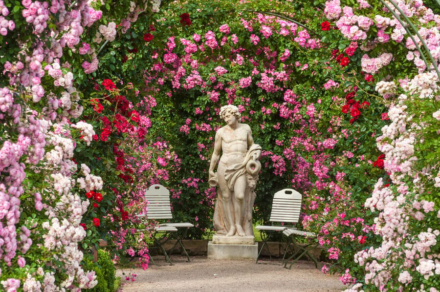 From Strasbourg: Black Forest and Baden Baden Day Trip - Price and value: what $253 buys you in an 8-hour day