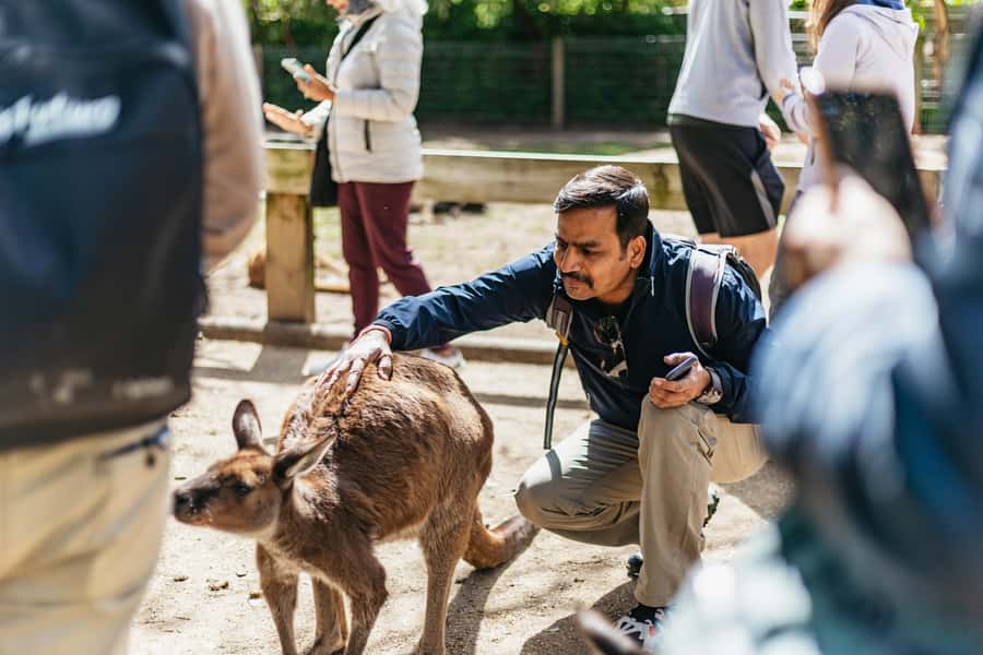 From Sydney: Blue Mountains Full-Day Trip - Leura Village: The Lunch-and-Stroll Break You’ll Actually Use