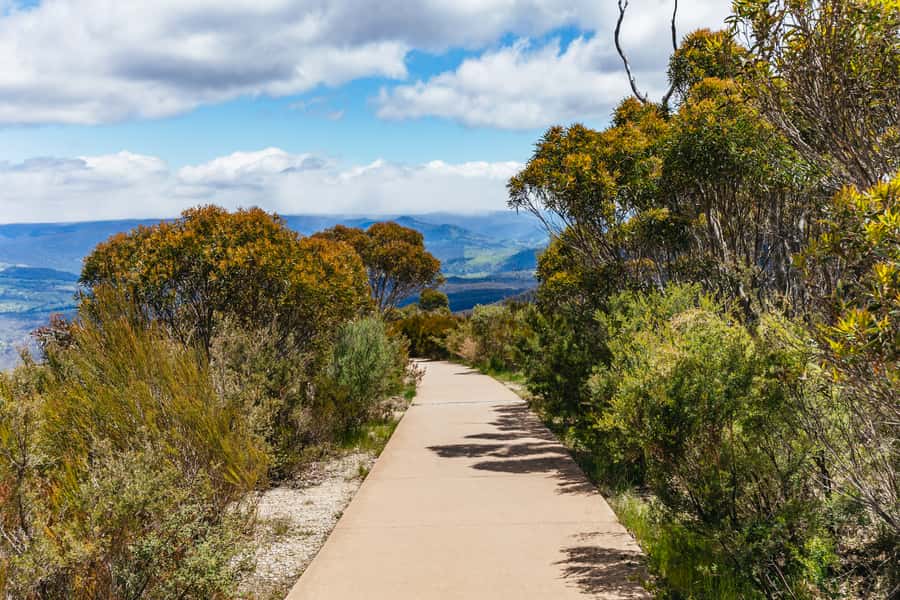 From Sydney: Blue Mountains Full-Day Trip - Guide Quality: The Difference Between a Good Day and a Great One
