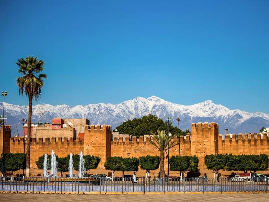 From Taghazout/Agadir: Taroudant and Tiout Day Trip & Tajine - Flying goats stop: the argan-tree moment you’ll remember