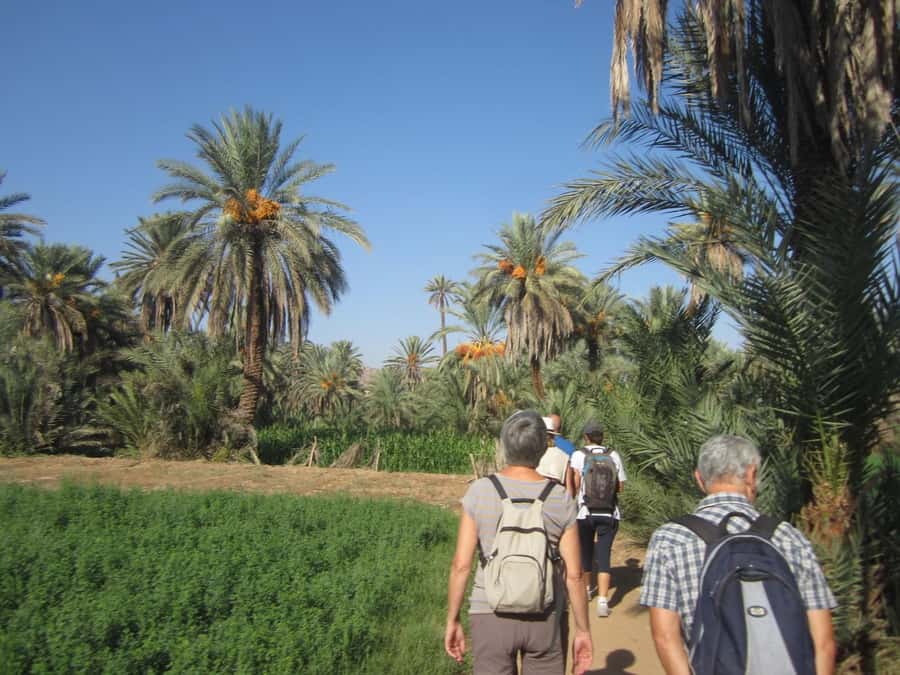 From Taghazout/Agadir: Taroudant and Tiout Day Trip & Tajine - Lunch, mint tea, and the food expectations you should set