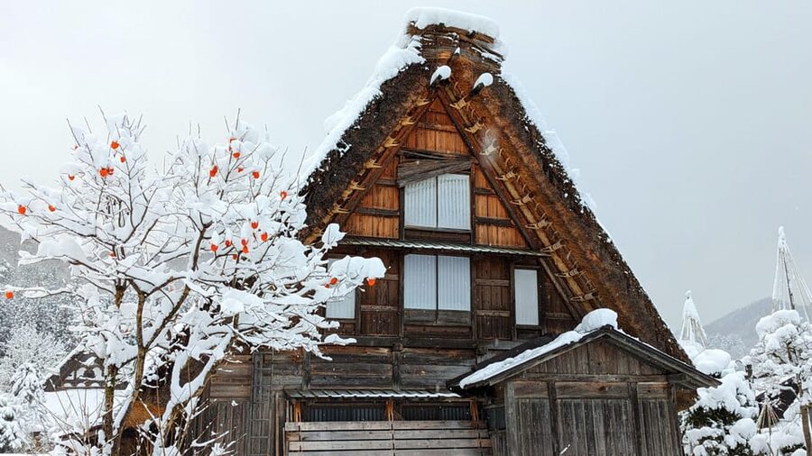 From Takayama: Guided Day Trip to Takayama and Shirakawa-go - Key highlights worth marking on your map