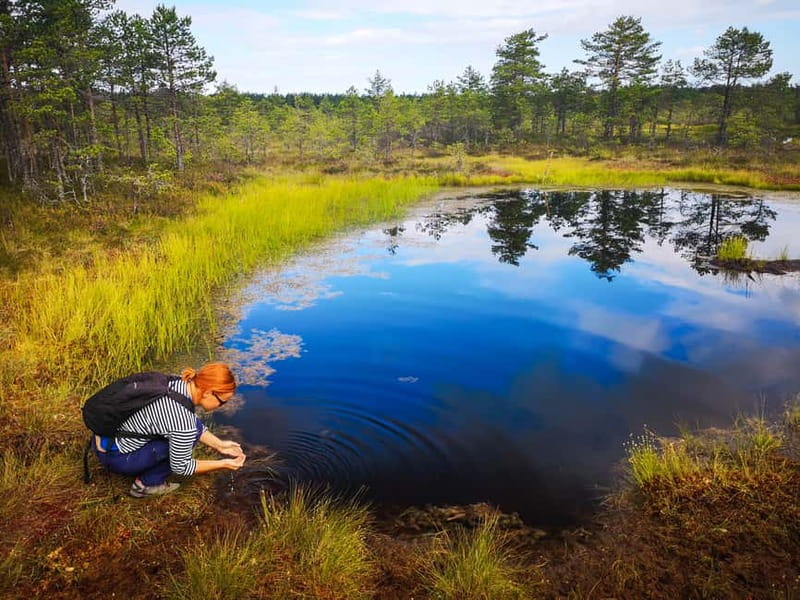 From Tallinn: Day Trip to Lahemaa National Park - Key reasons this Lahemaa day trip works