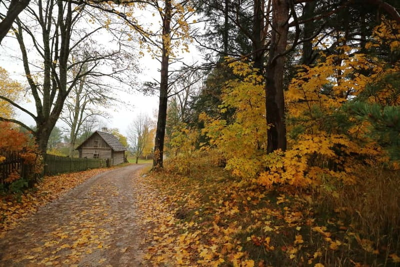 From Tallinn: Day Trip to Lahemaa National Park - Who should book this Lahemaa day trip (and who might want to think twice)