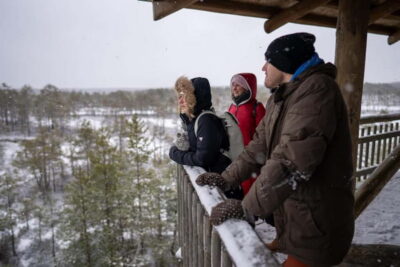 From Tallinn: Day Trip to Lahemaa National Park - Jägala waterfall: the quick stop that frames the day