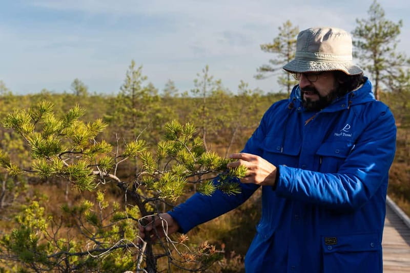 From Tallinn: Day Trip to Lahemaa National Park - Lunch and pacing: where you fit a meal without breaking the day