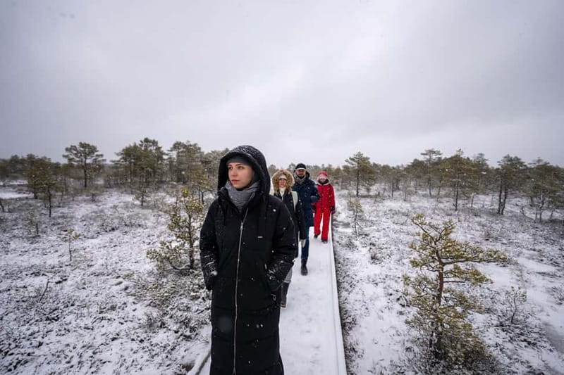 From Tallinn: Day Trip to Lahemaa National Park - Price and value: is $140 worth it from Tallinn?