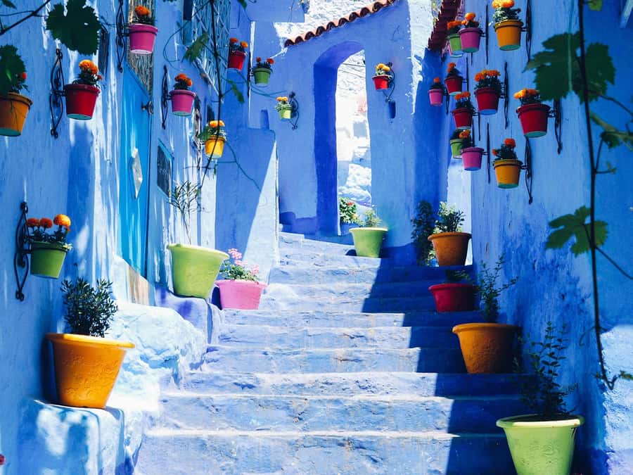 From Tangier: Chefchaouen Guided Full-Day Trip - From Tangier to Chefchaouen: timing and the Rif Mountain drive