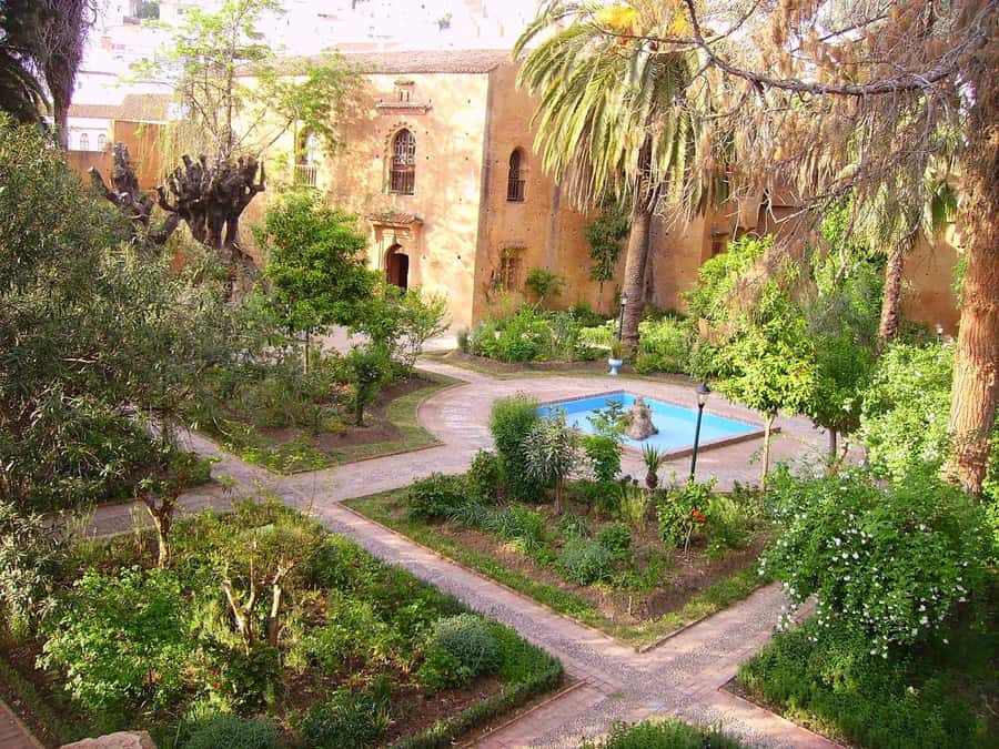 From Tangier: Chefchaouen Guided Full-Day Trip - Price value: what $73 covers and what costs extra
