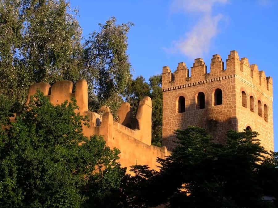 From Tangier: Chefchaouen Guided Full-Day Trip - Who should book this Tangier to Chefchaouen day trip