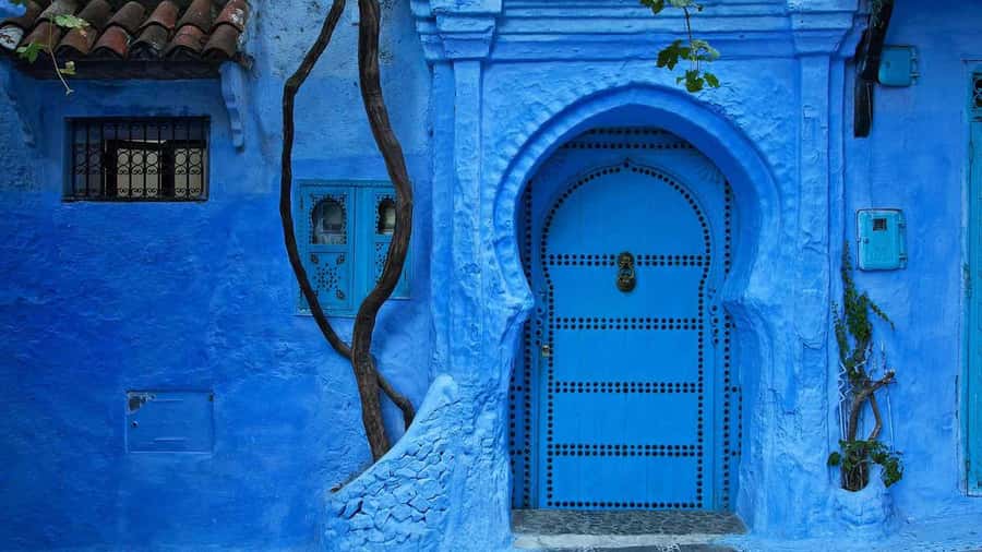 From Tangier: Day Trip to Chefchaouen and Akchour Waterfalls - Who should book this Chefchaouen and Akchour day trip