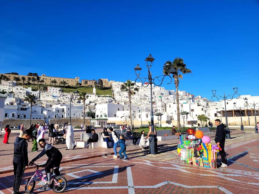 From Tangier: Day Trip to Tetouan with Local Guide - From Tangier Pickup to Tetouan Return: The Day’s Rhythm