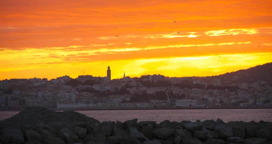 From Tarifa: Tangier Full-Day Trip with Lunch - Pace, comfort, and who this trip suits best