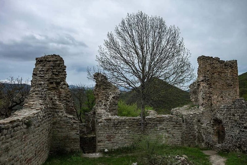 From Tbilisi: Bodbe, Sighnaghi and Telavi Day Trip - Getting started: where you meet and how the morning moves