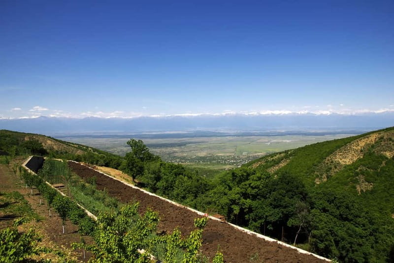 From Tbilisi: Kakheti & Sighnaghi Guided Day Trip with Wine - Key things worth knowing before you go