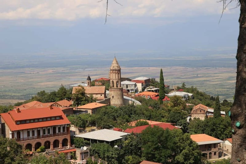 From Tbilisi: Kakheti & Sighnaghi Guided Day Trip with Wine - Tokhliauri: wine, lunch, and a full-on tasting session