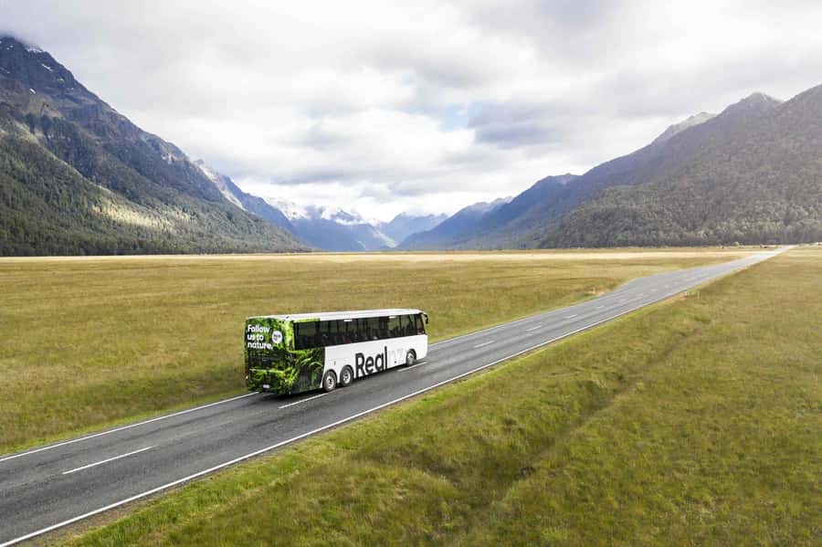 From Te Anau: Milford Sound Cruise and Coach Day Trip - The Milford Road drive: why the glass-roof coach is more than a gimmick