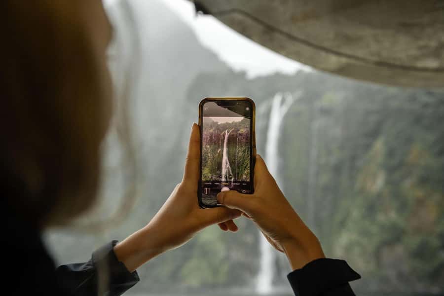 From Te Anau: Milford Sound Cruise and Coach Day Trip - Should you book the RealNZ Milford Sound cruise and coach day trip?