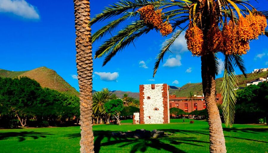 From Tenerife: La Gomera Day Trip with Guide - The pace of a 10-hour day: great value, but plan your energy