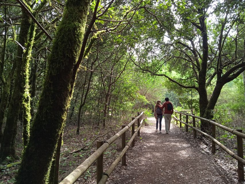 From Tenerife: La Gomera Day Trip with Guide - Guides like Tony, Chantal, and Hector: why commentary matters here