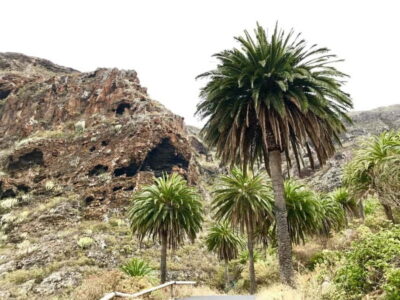 From Tenerife South: La Gomera Full-Day Trip with Transfers - Roque de Agando: volcanic rocks and the horizontal rain trick