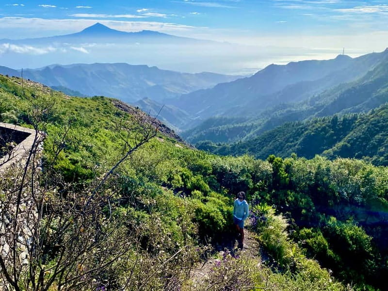From Tenerife South: La Gomera Full-Day Trip with Transfers - Valle Gran Rey viewpoints and Laguna Grande lunch with silbo gomero
