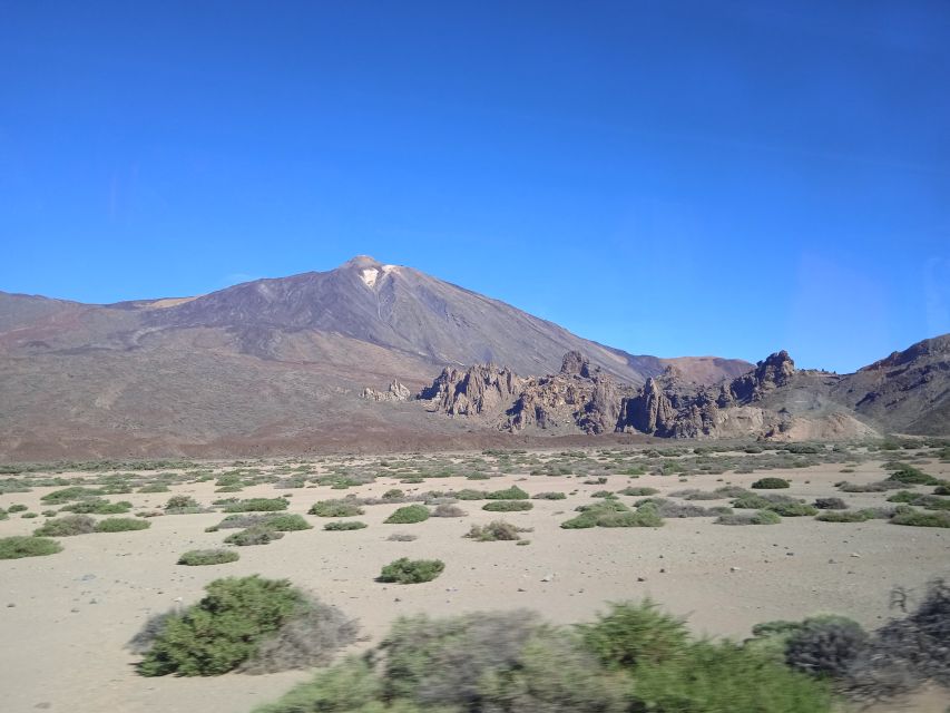 From Tenerife: Teide National Park Guided Day Trip by Bus - Key highlights you’ll care about