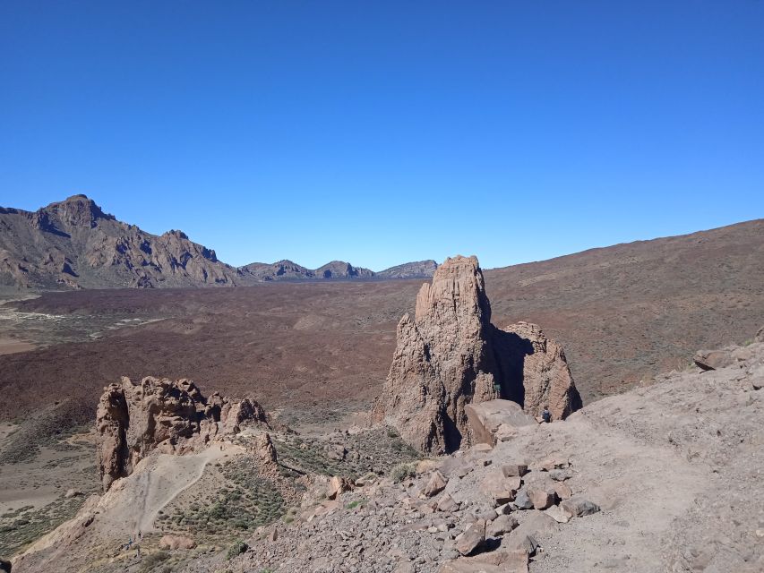 From Tenerife: Teide National Park Guided Day Trip by Bus - Price and value: is $39 a smart deal for Teide?