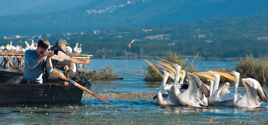 From Thessaloniki: Private Day Trip to Kerkini Lake - Why Lake Kerkini is worth a day trip from Thessaloniki