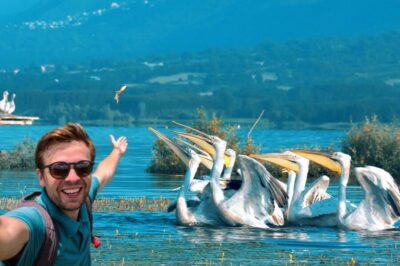 From Thessaloniki: Private Day Trip to Kerkini Lake - Getting there: the 8-hour rhythm that keeps the day relaxed